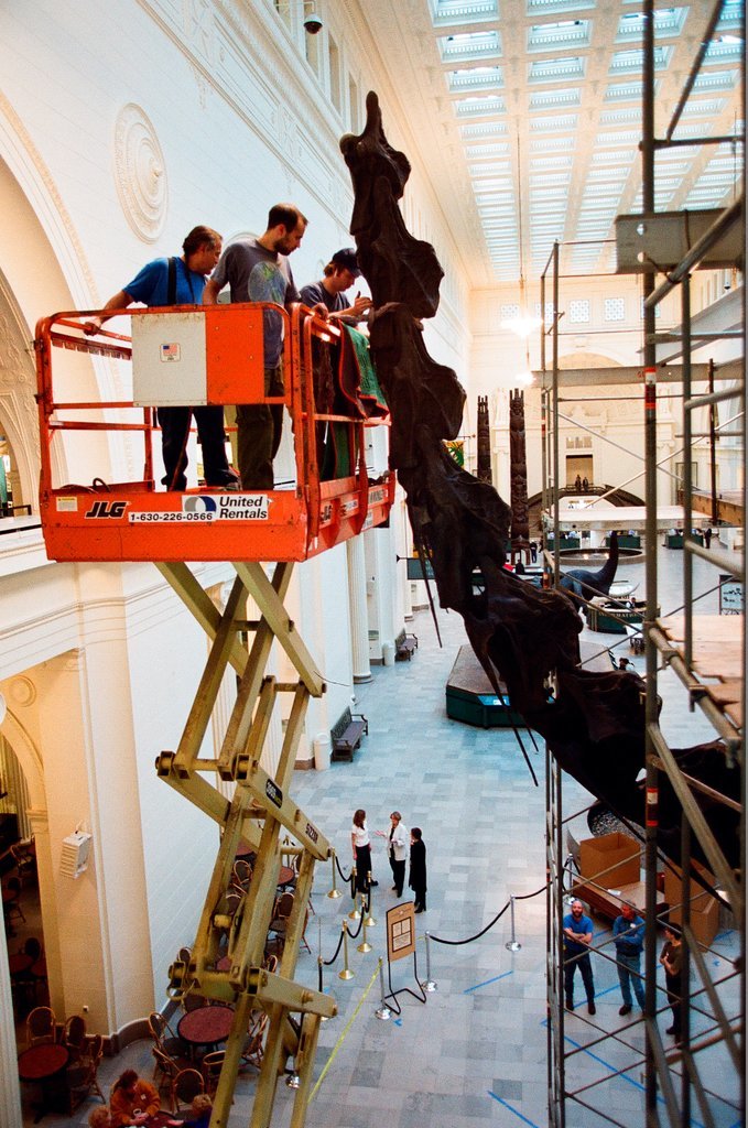 Field Museum staff dismantle the Brachiosaurus model to make room for Sue - Chicago Sun-Times