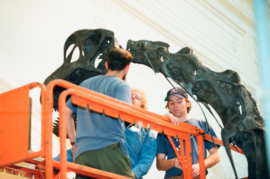 Field Museum staff dismantle the Brachiosaurus model to make room for Sue - Chicago Sun-Times