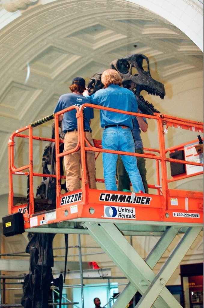 Field Museum staff dismantle the Brachiosaurus model to make room for Sue - Chicago Sun-Times
