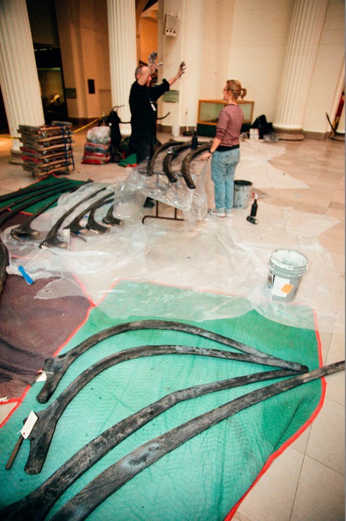 Field Museum staff dismantle the Brachiosaurus model to make room for Sue - Chicago Sun-Times