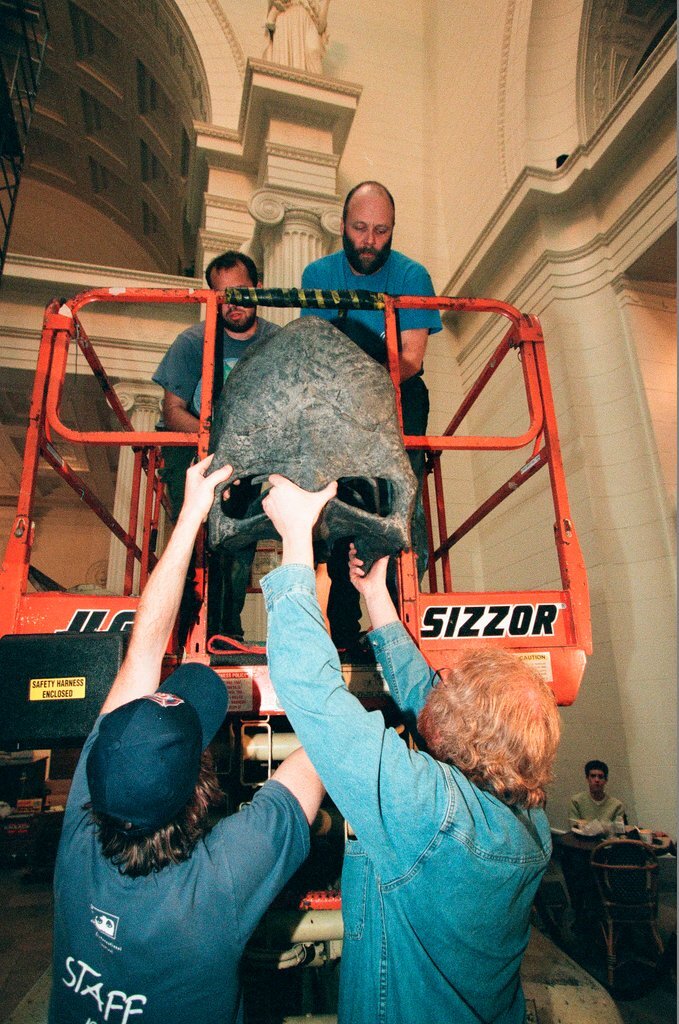 Field Museum staff dismantle the Brachiosaurus model to make room for Sue - Chicago Sun-Times
