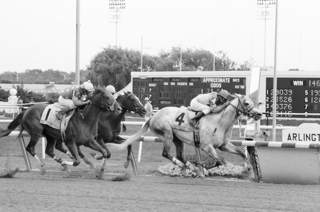 Par Flite and trainer Carl Nafzger win the Grade II Washington Park Stakes race - Chicago Sun-Times