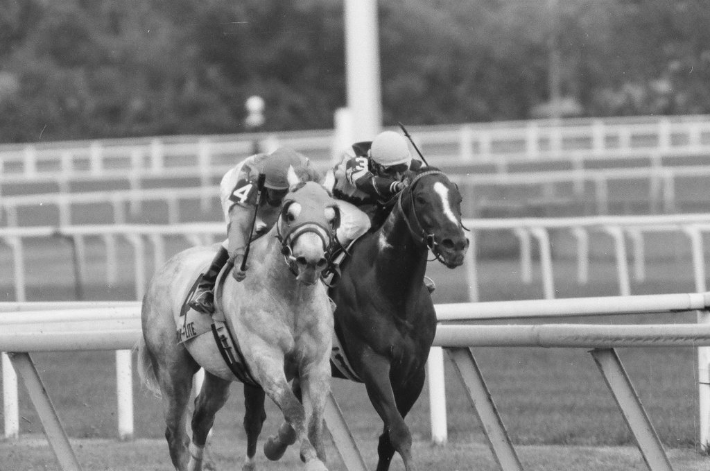 Par Flite and trainer Carl Nafzger win the Grade II Washington Park Stakes race - Chicago Sun-Times