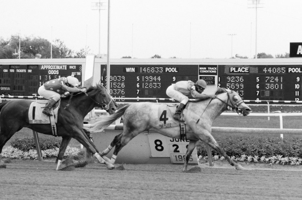 Par Flite and trainer Carl Nafzger win the Grade II Washington Park Stakes race - Chicago Sun-Times