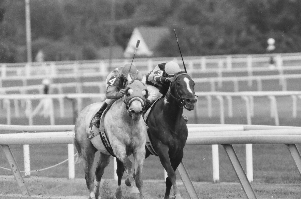 Par Flite and trainer Carl Nafzger win the Grade II Washington Park Stakes race - Chicago Sun-Times