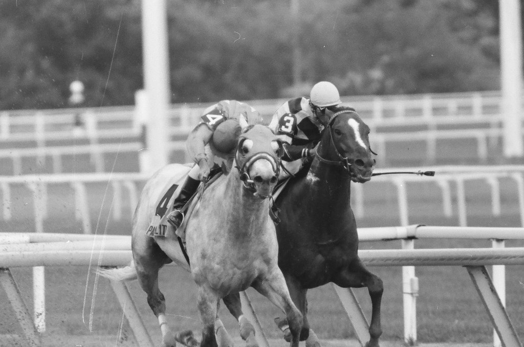 Par Flite and trainer Carl Nafzger win the Grade II Washington Park Stakes race - Chicago Sun-Times