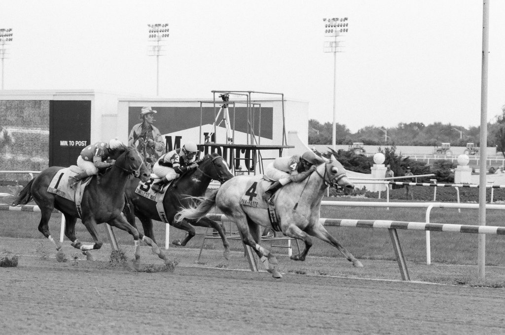Par Flite and trainer Carl Nafzger win the Grade II Washington Park Stakes race - Chicago Sun-Times
