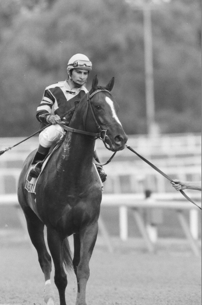 Par Flite and trainer Carl Nafzger win the Grade II Washington Park Stakes race - Chicago Sun-Times