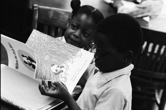 Chicago Public Library branch in Austin - Chicago Sun-Times